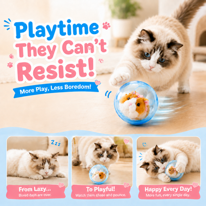 korakio® 😻 Self-Rolling Cat Ball – Keeps Bored Indoor Cats Active & Entertained